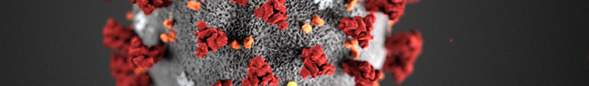 Coronavirus Illustration Coronavirus Illustration