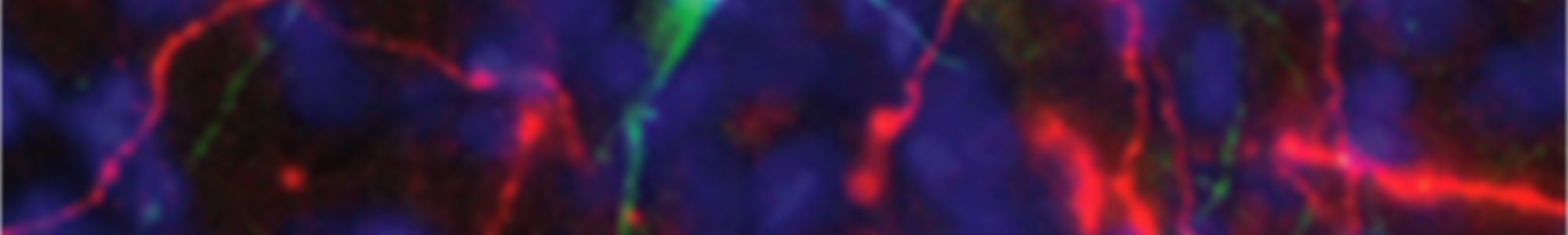 neuro neuro
